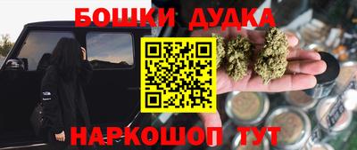 ГАЛЛЮЦИНОГЕННЫЕ ГРИБЫ Сланцы