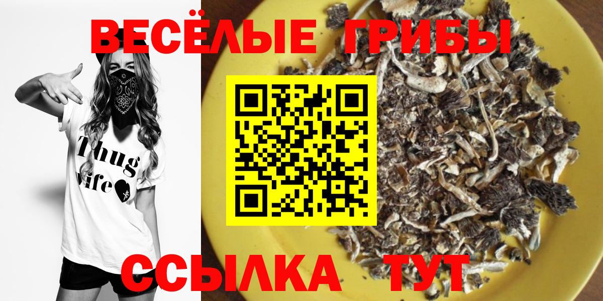 Псилоцибиновые грибы MAGIC MUSHROOMS Нововоронеж