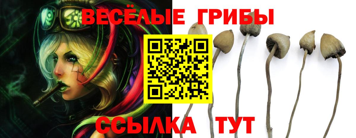 Псилоцибиновые грибы прущие грибы  Вход с VPN  Псилоцибиновые грибы Magic Shrooms  Нововоронеж 